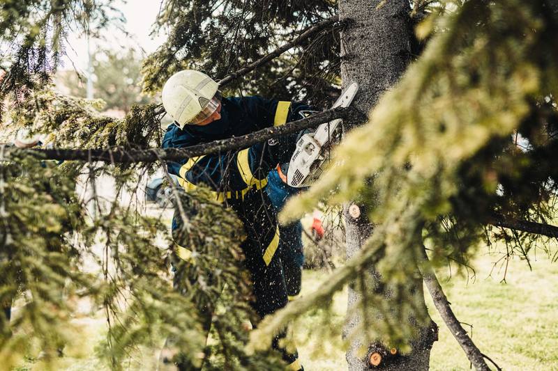 tree service crew chainsaw - Clearwater Stump Grinding