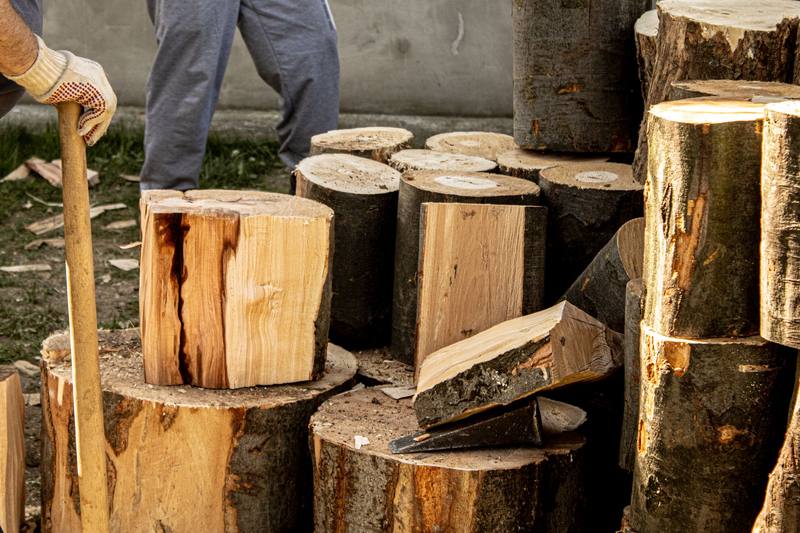 Safety Harbor neighborhood homes - Clearwater Stump Grinding