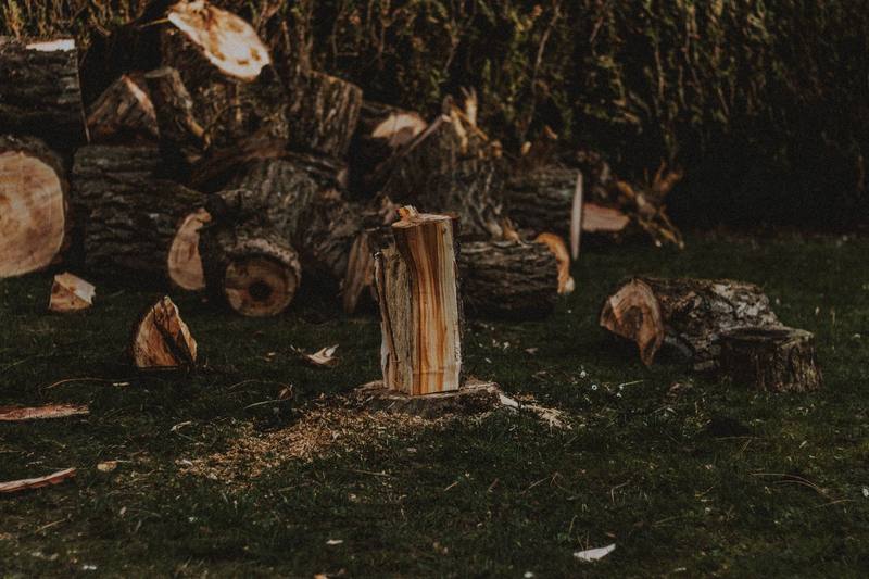 Seminole neighborhood homes - Clearwater Stump Grinding