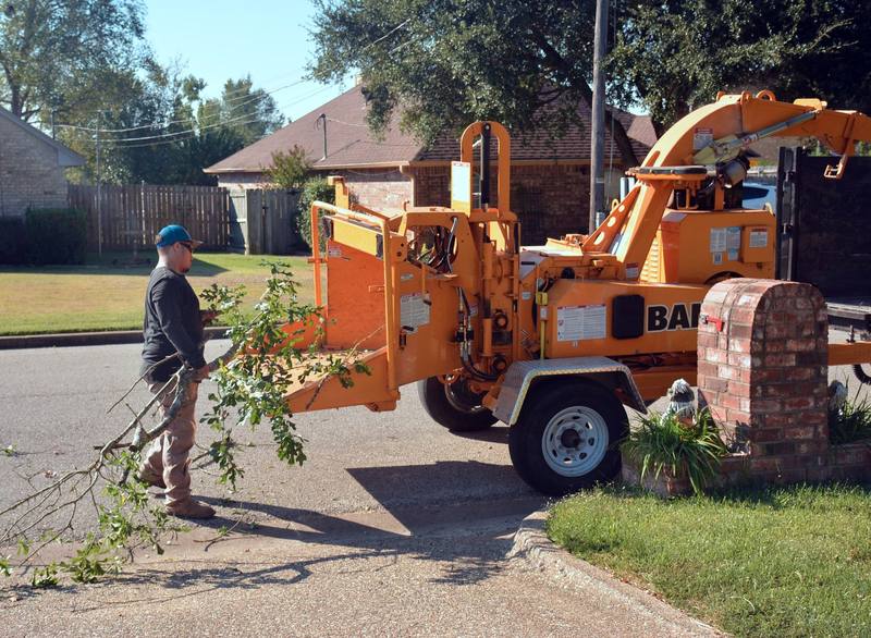 tree removal residential - Clearwater Stump Grinding
