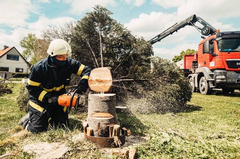 Stump Removal - Clearwater Stump Grinding